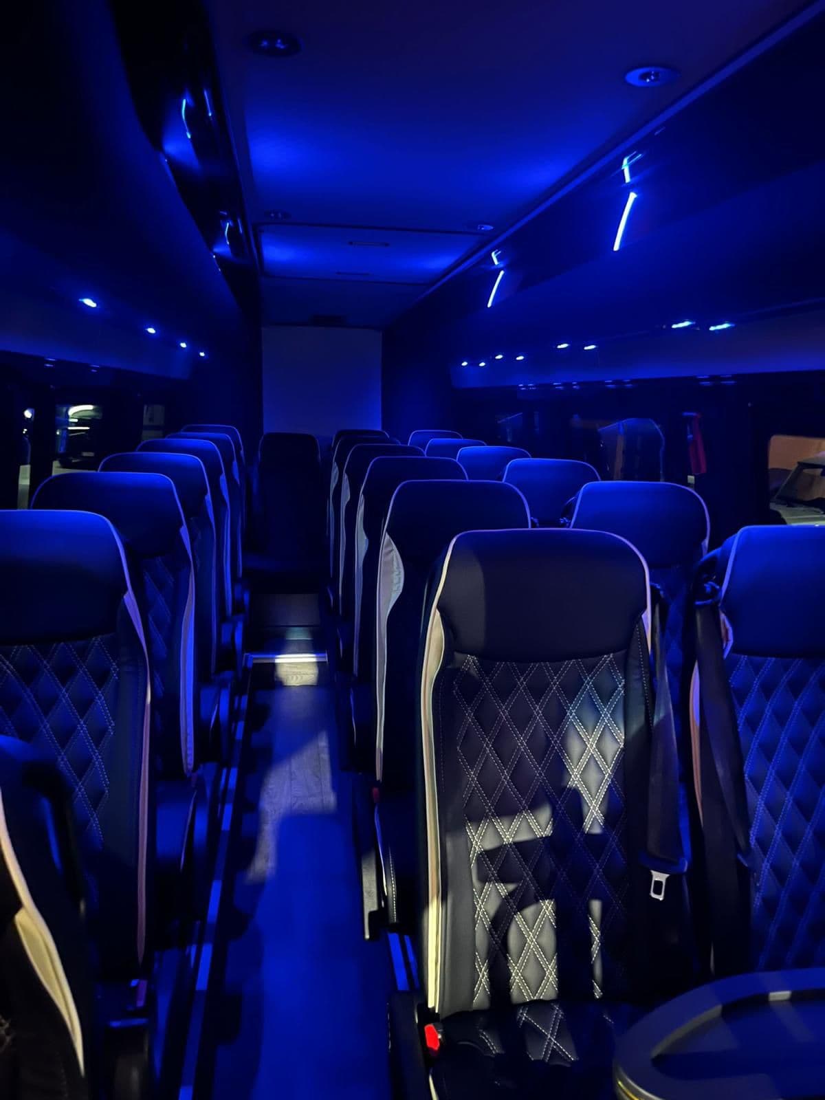 Executive Coach
